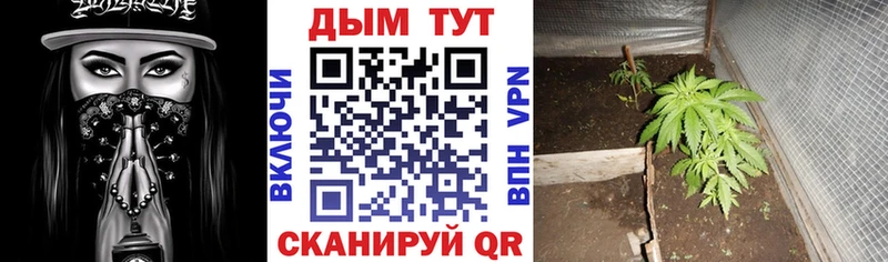 Продажа наркотиков Морозовск НБОМе Кокаин Меф мяу мяу АМФЕТАМИН Канабис Гашиш