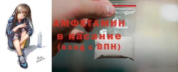 индика Абинск